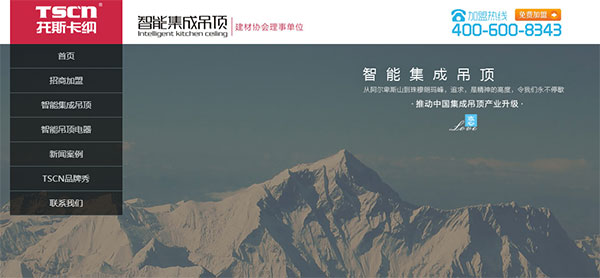 營(yíng)銷(xiāo)型網(wǎng)站案例